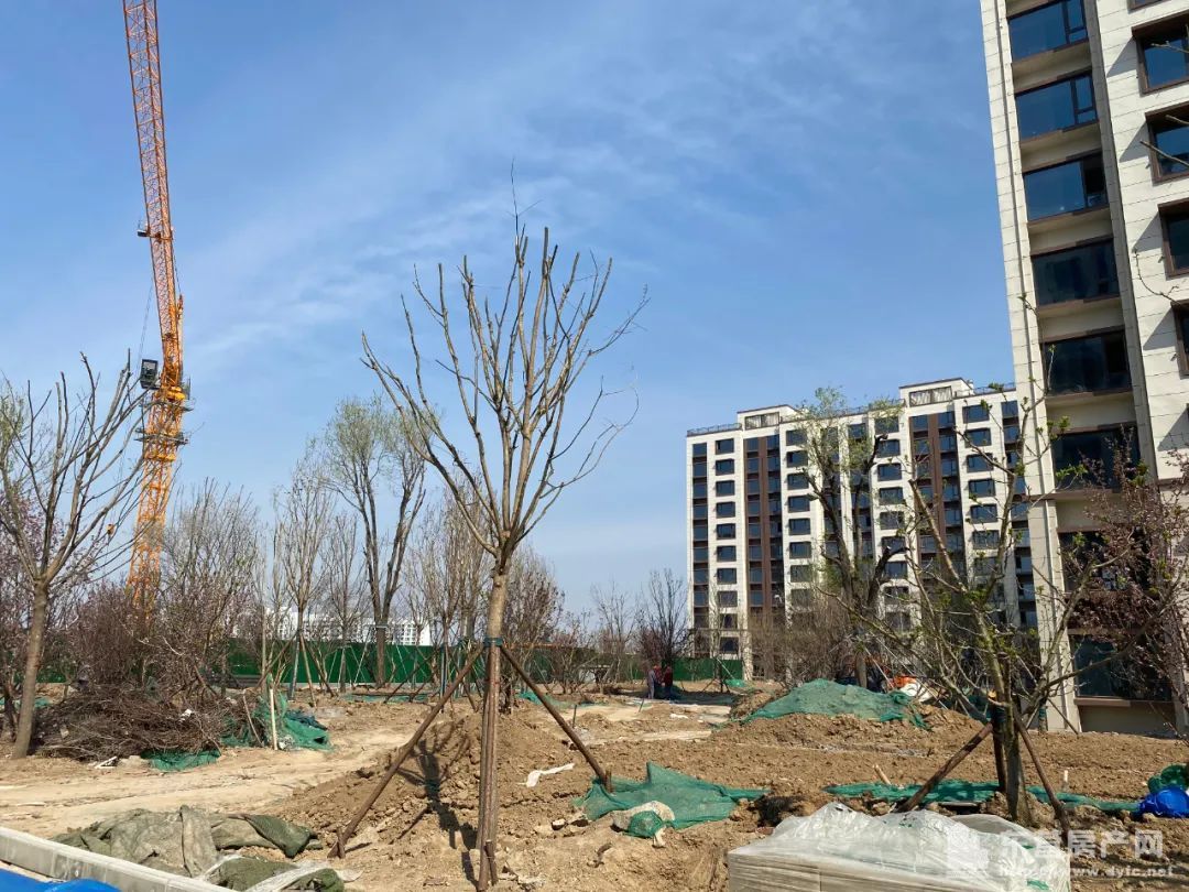 海通紫薇花園工程進度