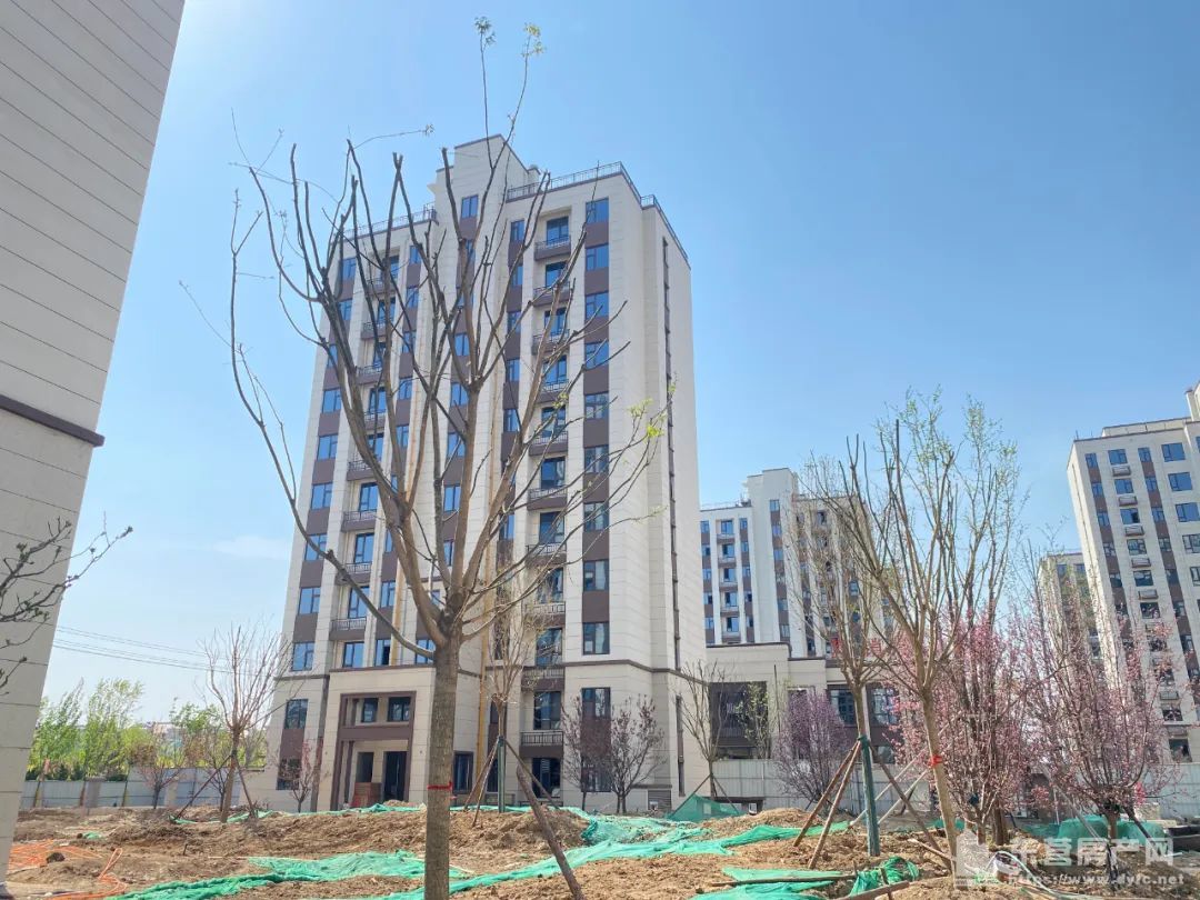 海通紫薇花園工程進度