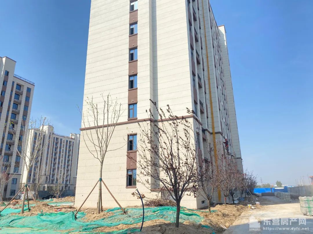 海通紫薇花園工程進度