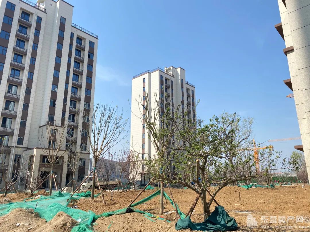 海通紫薇花園工程進度