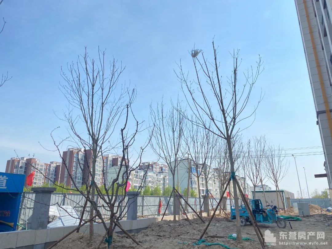 海通紫薇花園工程進度