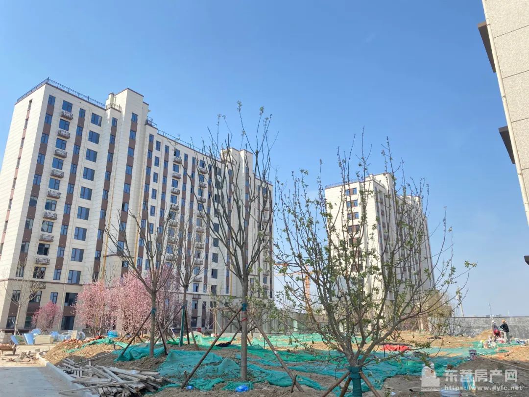 海通紫薇花園工程進度