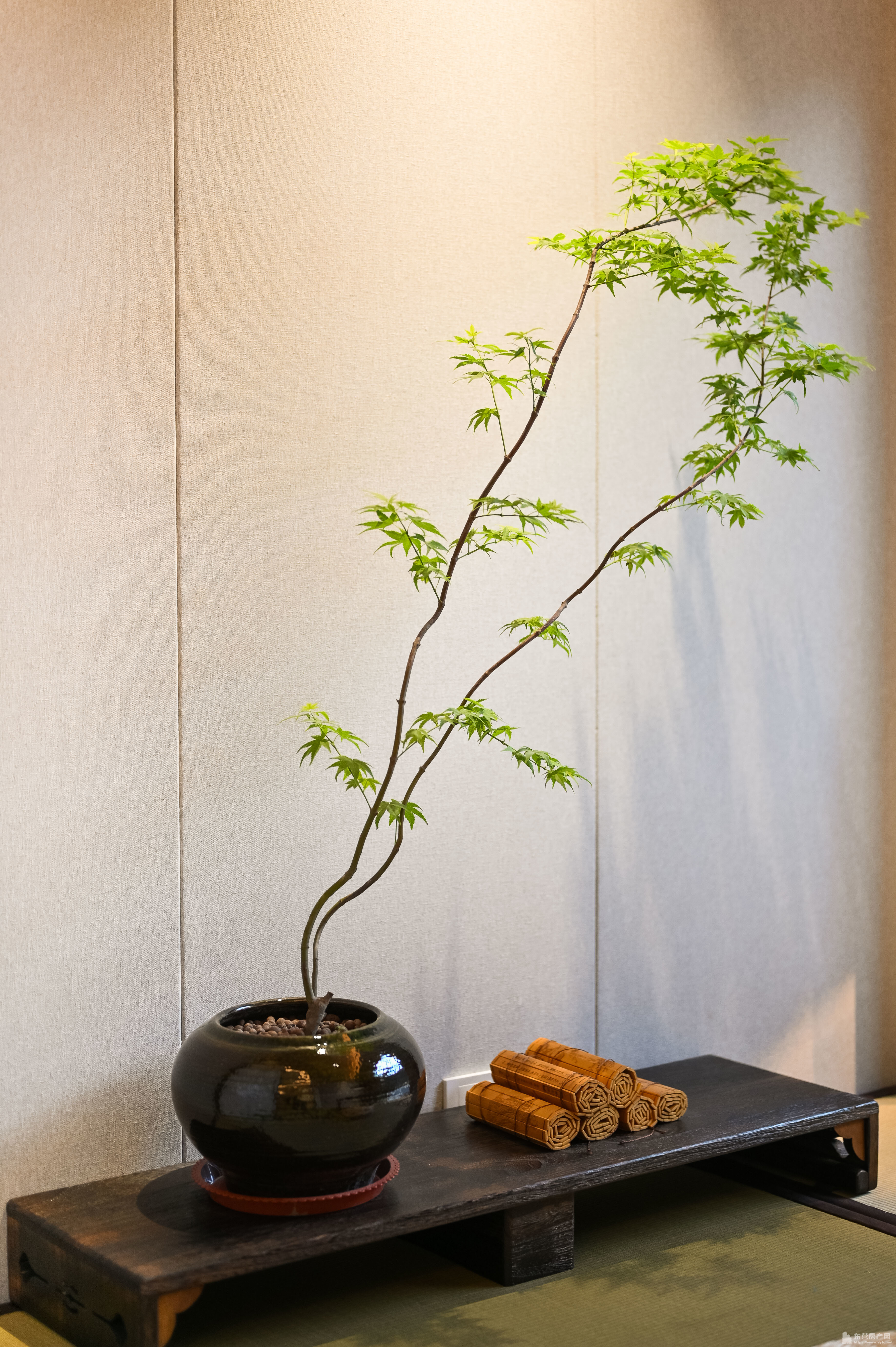 海通碧仙湖畔樣板間