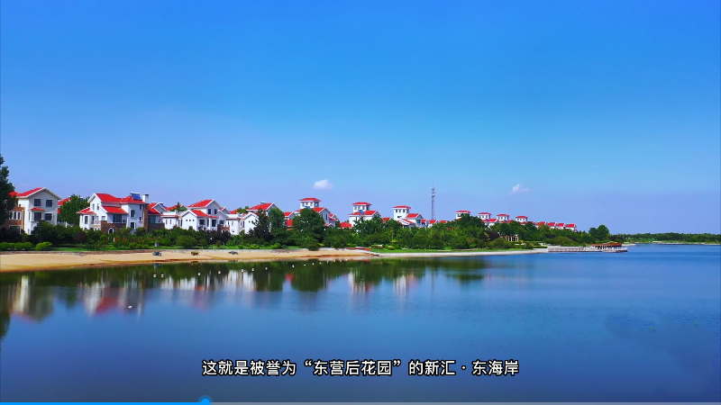 新匯東海岸視頻看房