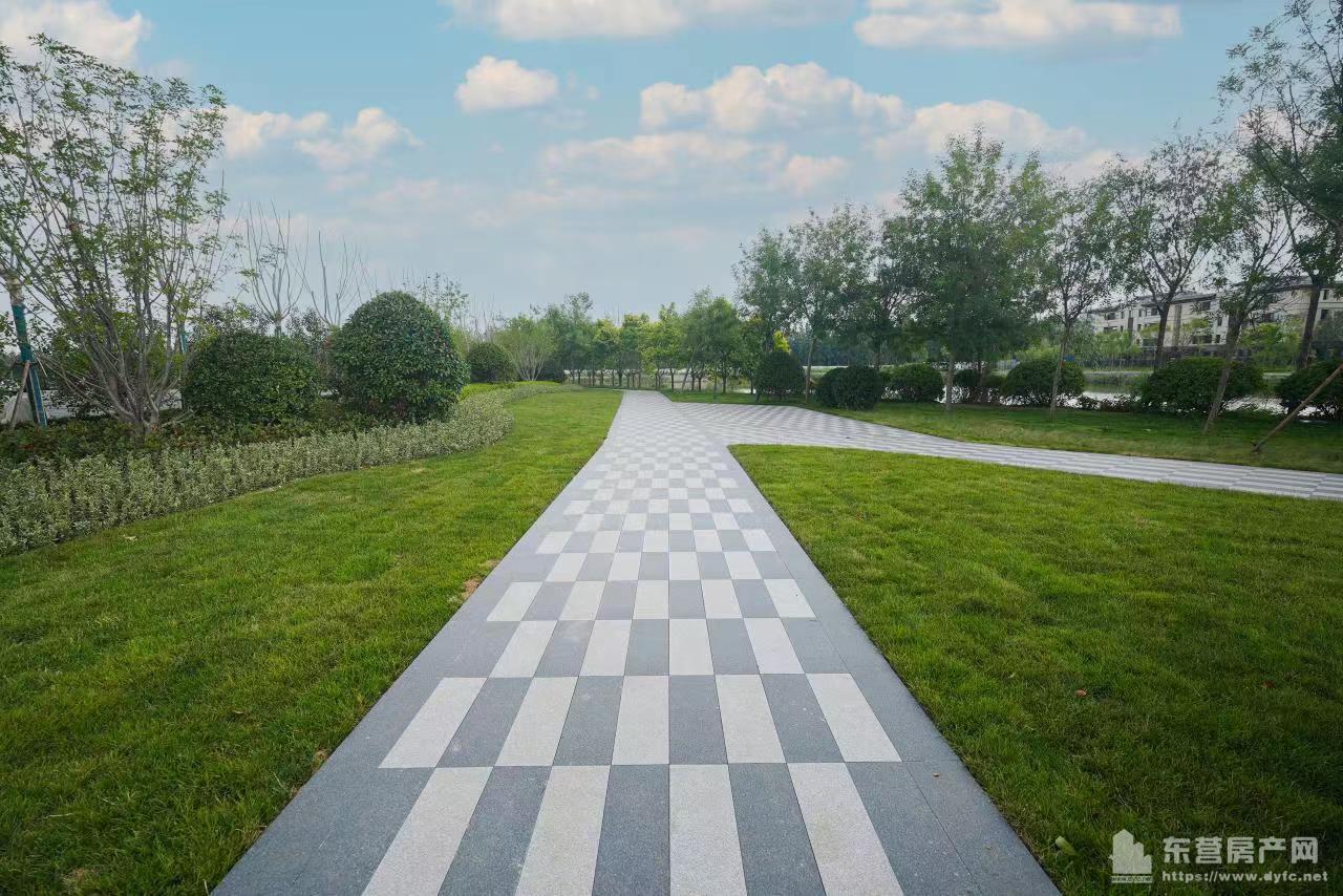 眾成悅島華庭實景圖