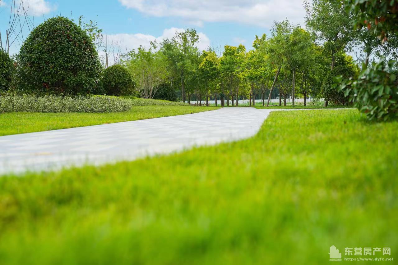 眾成悅島華庭實景圖
