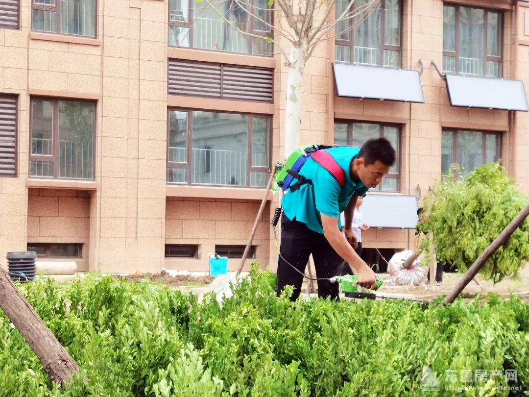 奧體學都工程進度