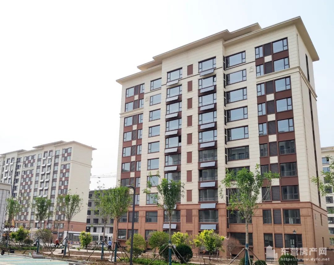 奧體學都工程進度