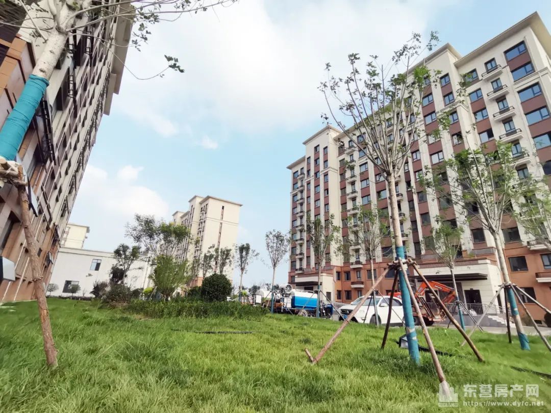 奧體學都工程進度