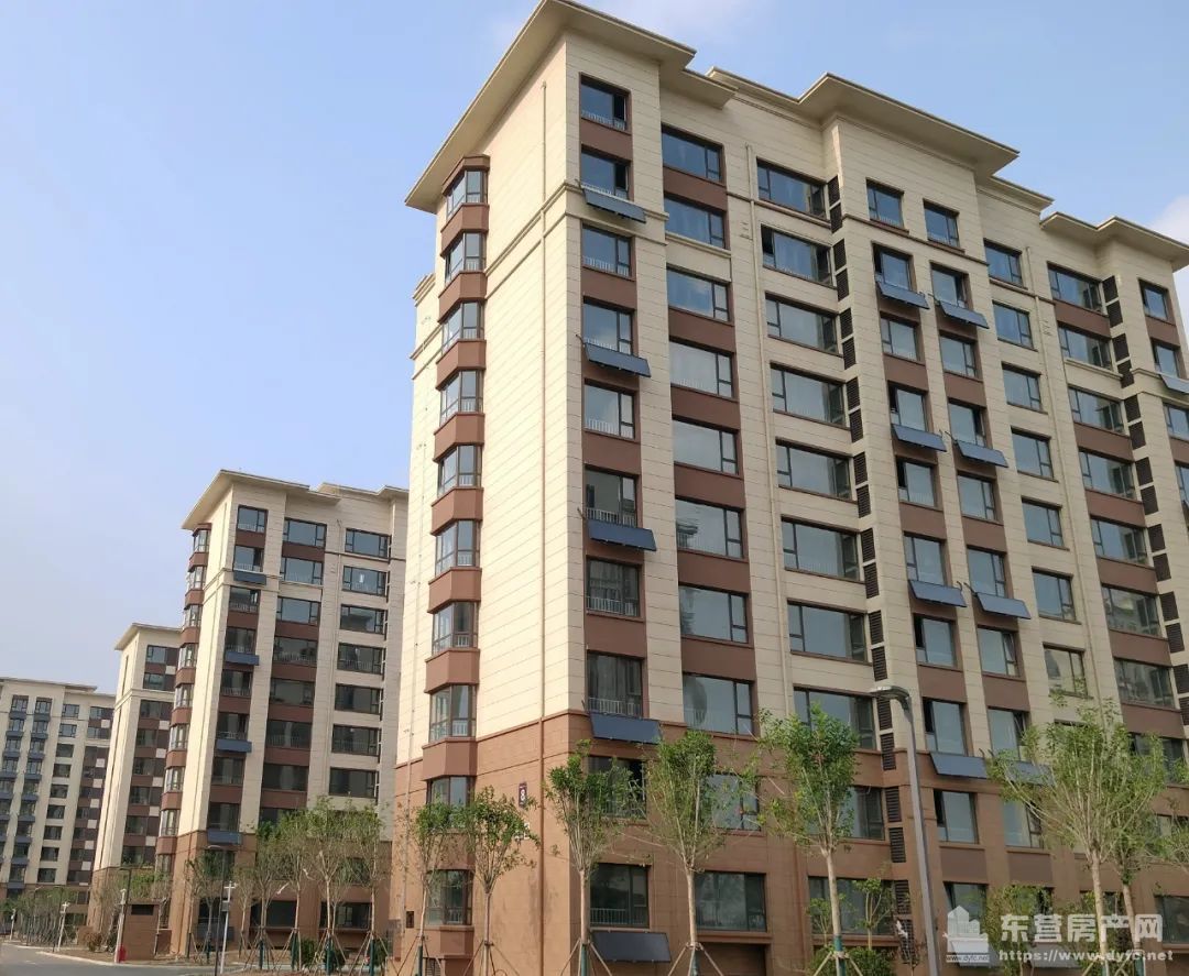 奧體學都工程進度