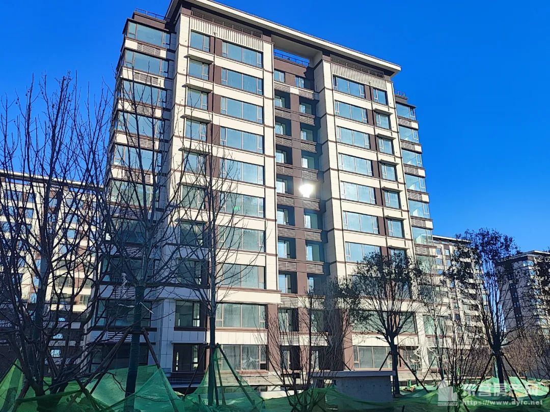 海通碧仙湖畔工程進度