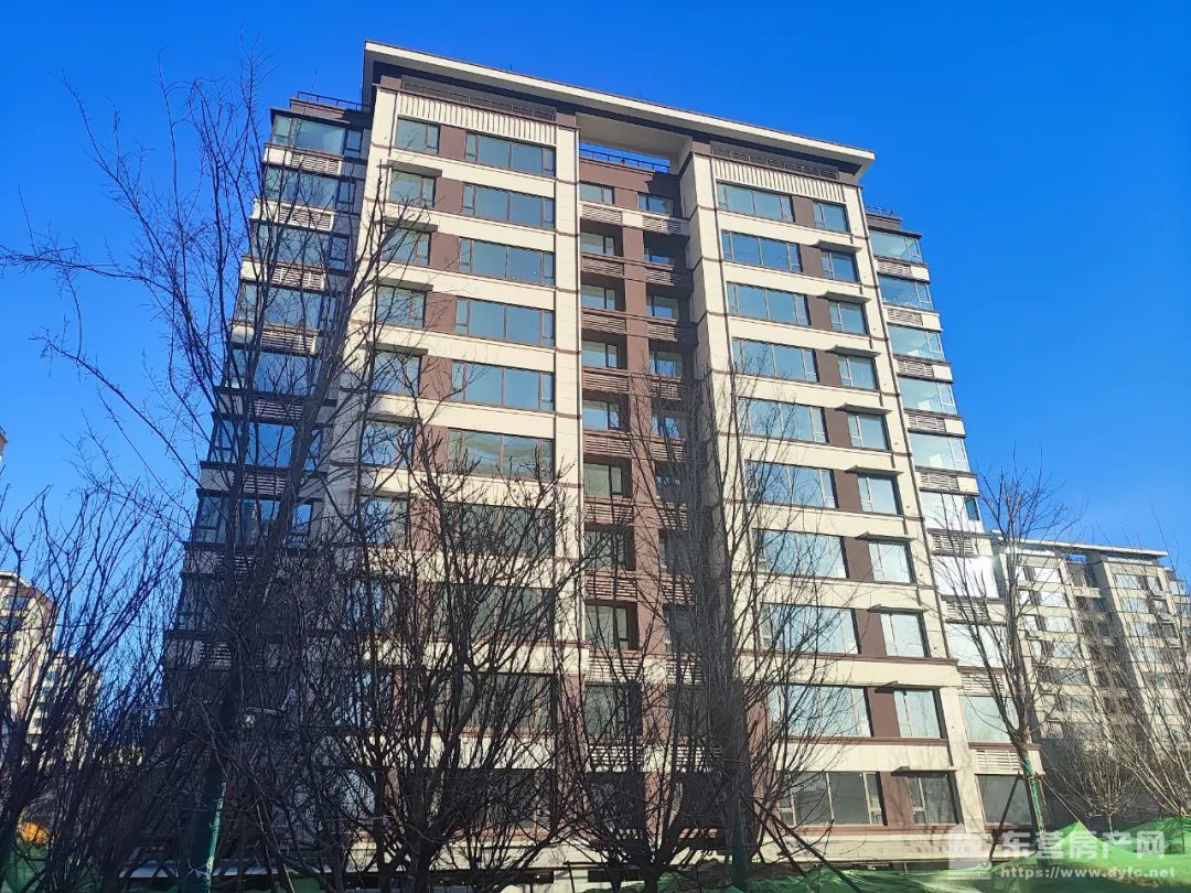 海通碧仙湖畔工程進度