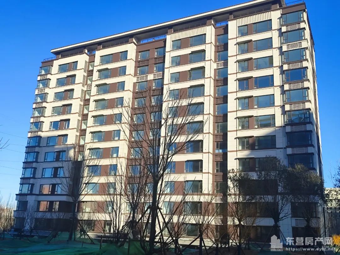 海通碧仙湖畔工程進度