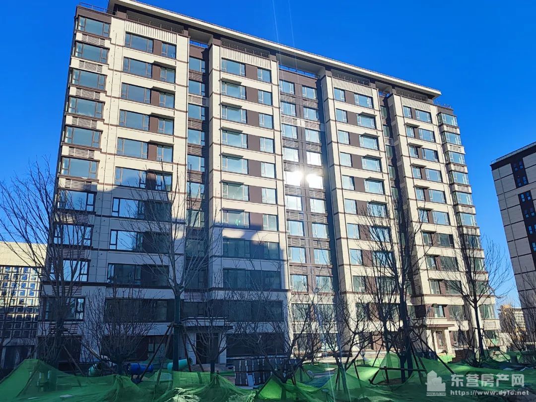 海通碧仙湖畔工程進度