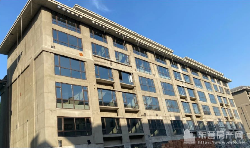 金辰·書香悅府工程進度