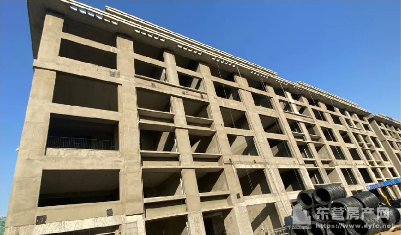 金辰·書香悅府工程進度