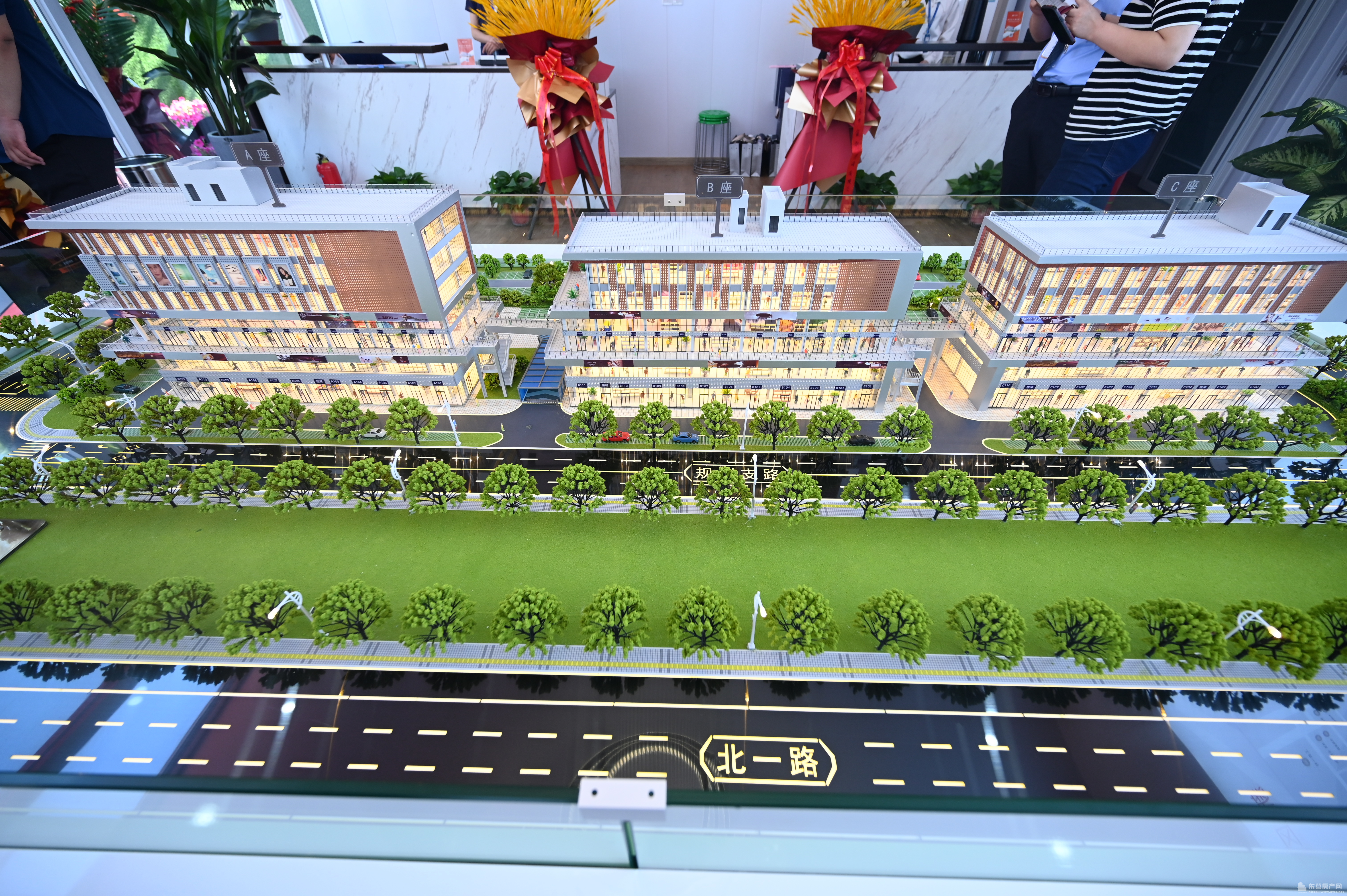 金基·匯金國際項目現場