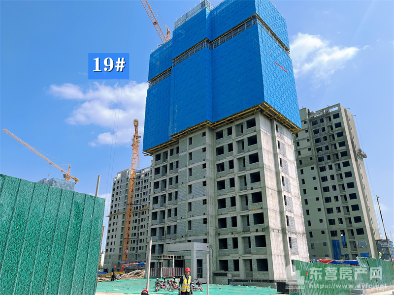 眾成嘉悅華庭工程進度