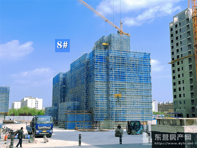 眾成嘉悅華庭工程進度