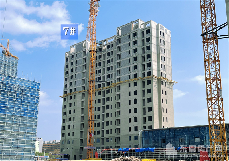 眾成嘉悅華庭工程進度