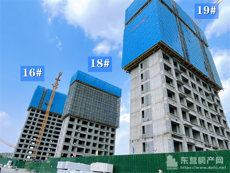 眾成嘉悅華庭工程進度