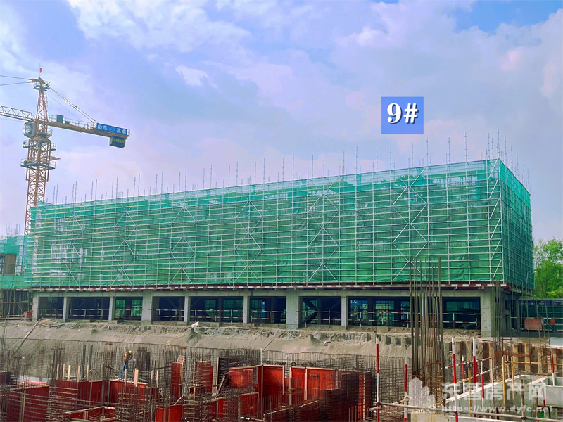 東辛嘉悅·嘉墅工程進度