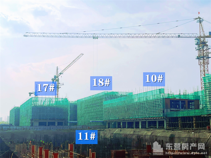 東辛嘉悅·嘉墅工程進度