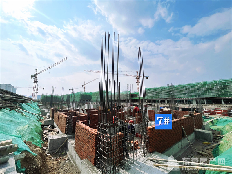 東辛嘉悅·嘉墅工程進度