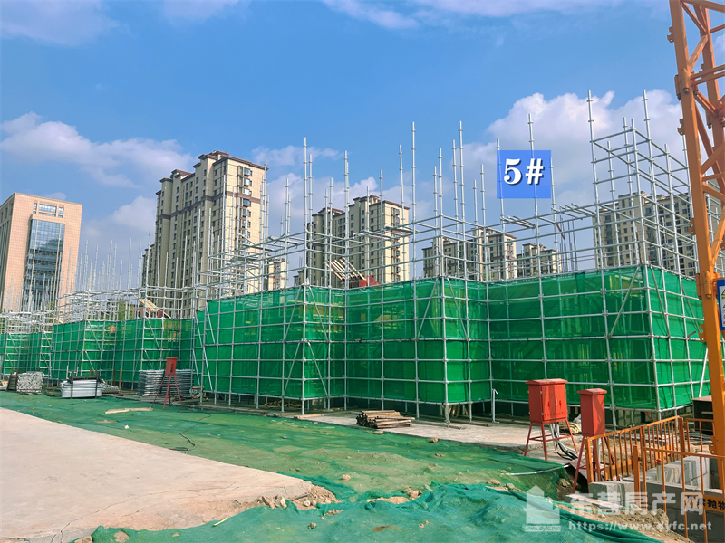 東辛嘉悅·嘉墅工程進度