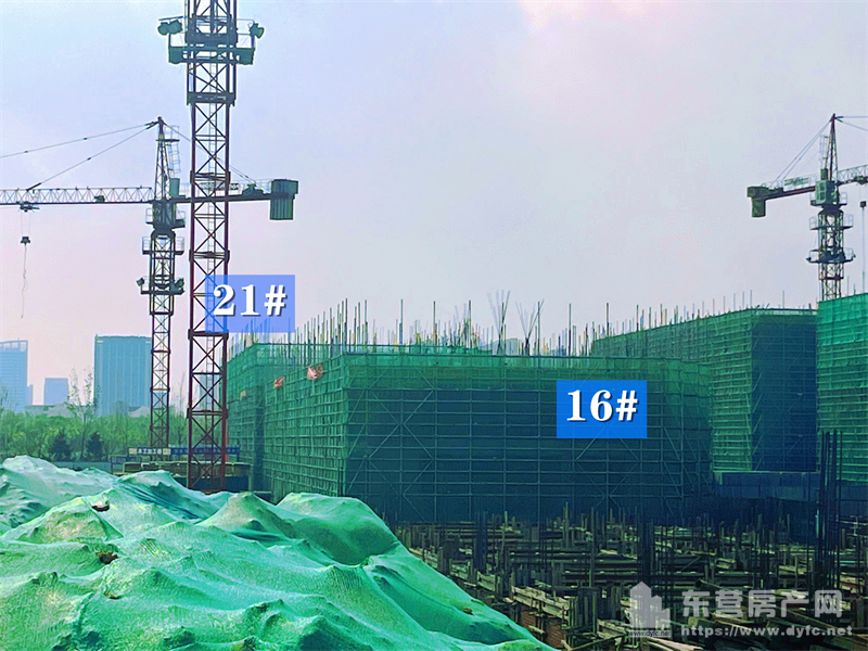 東辛嘉悅·嘉墅工程進度