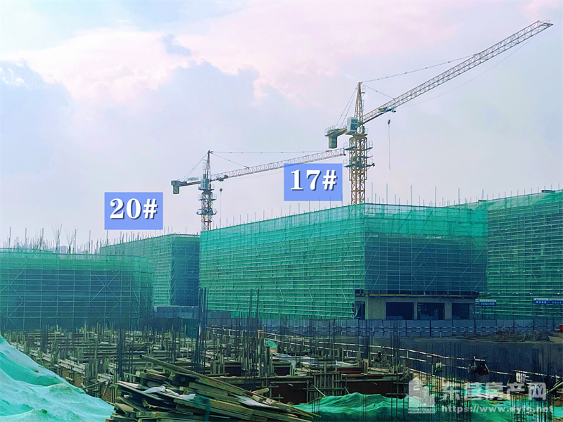 東辛嘉悅·嘉墅工程進度