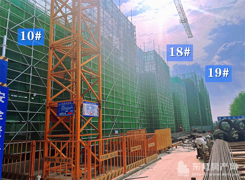 東辛嘉悅·嘉墅工程進度