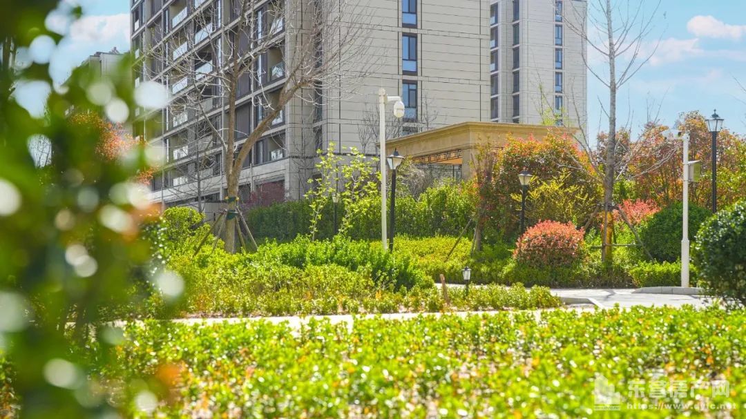 萬達蘭園實景圖