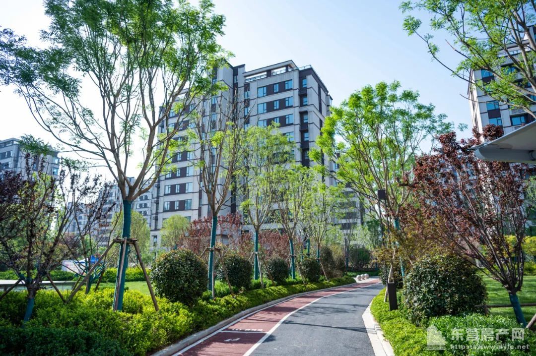 海通碧仙湖畔實景圖