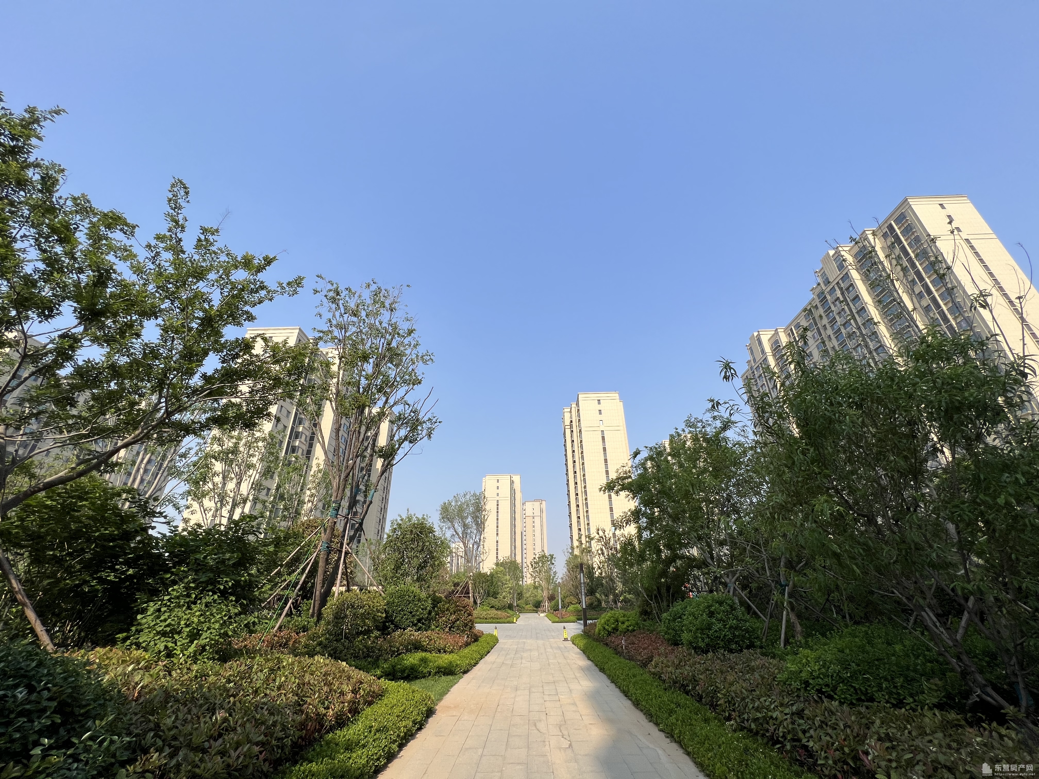 勝利花苑二期實景圖