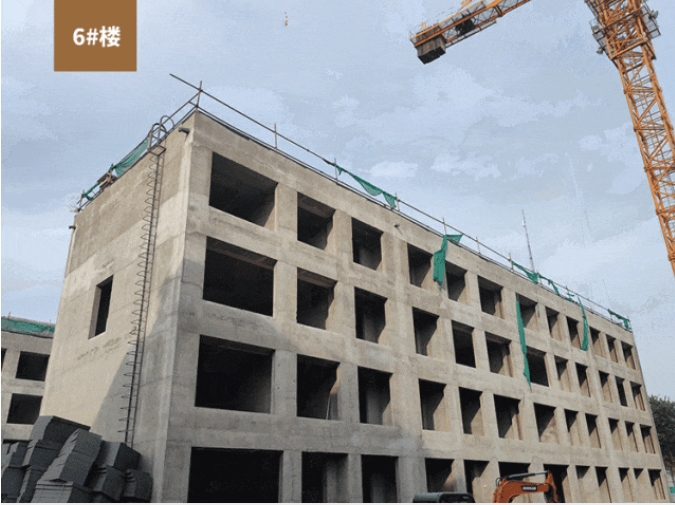 東辛嘉悅·悅墅工程進度