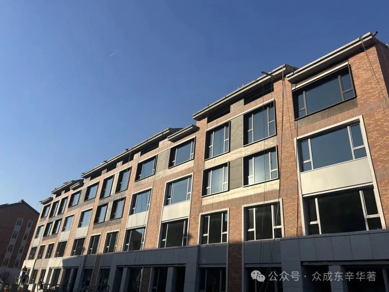 眾成公園華著工程進度