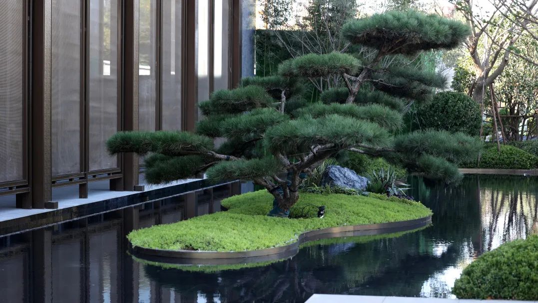 雲河賦項目現場