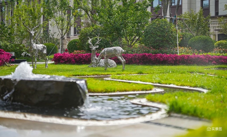 海通西溪蝶園實景圖