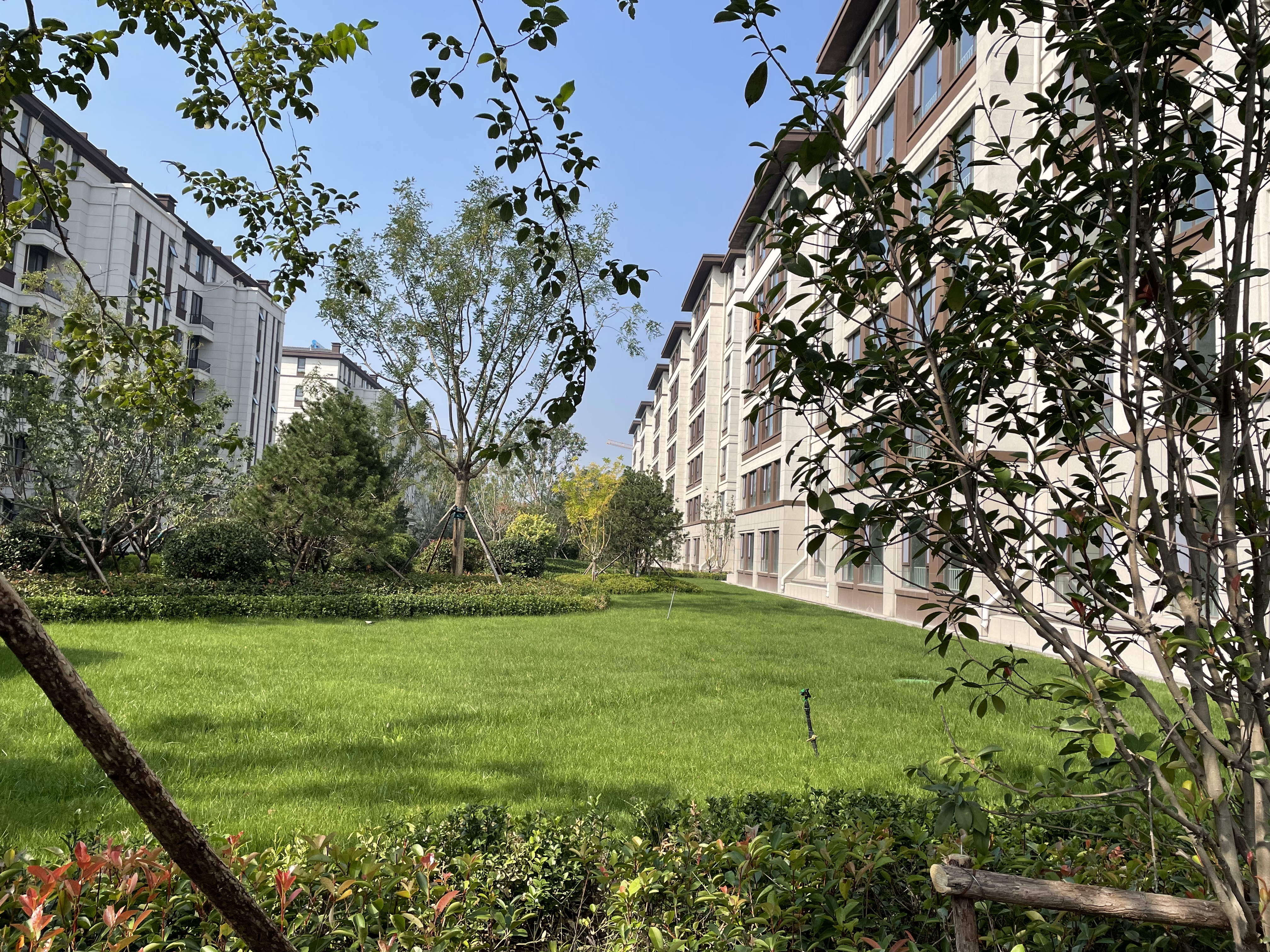 眾成悅島華庭實景圖