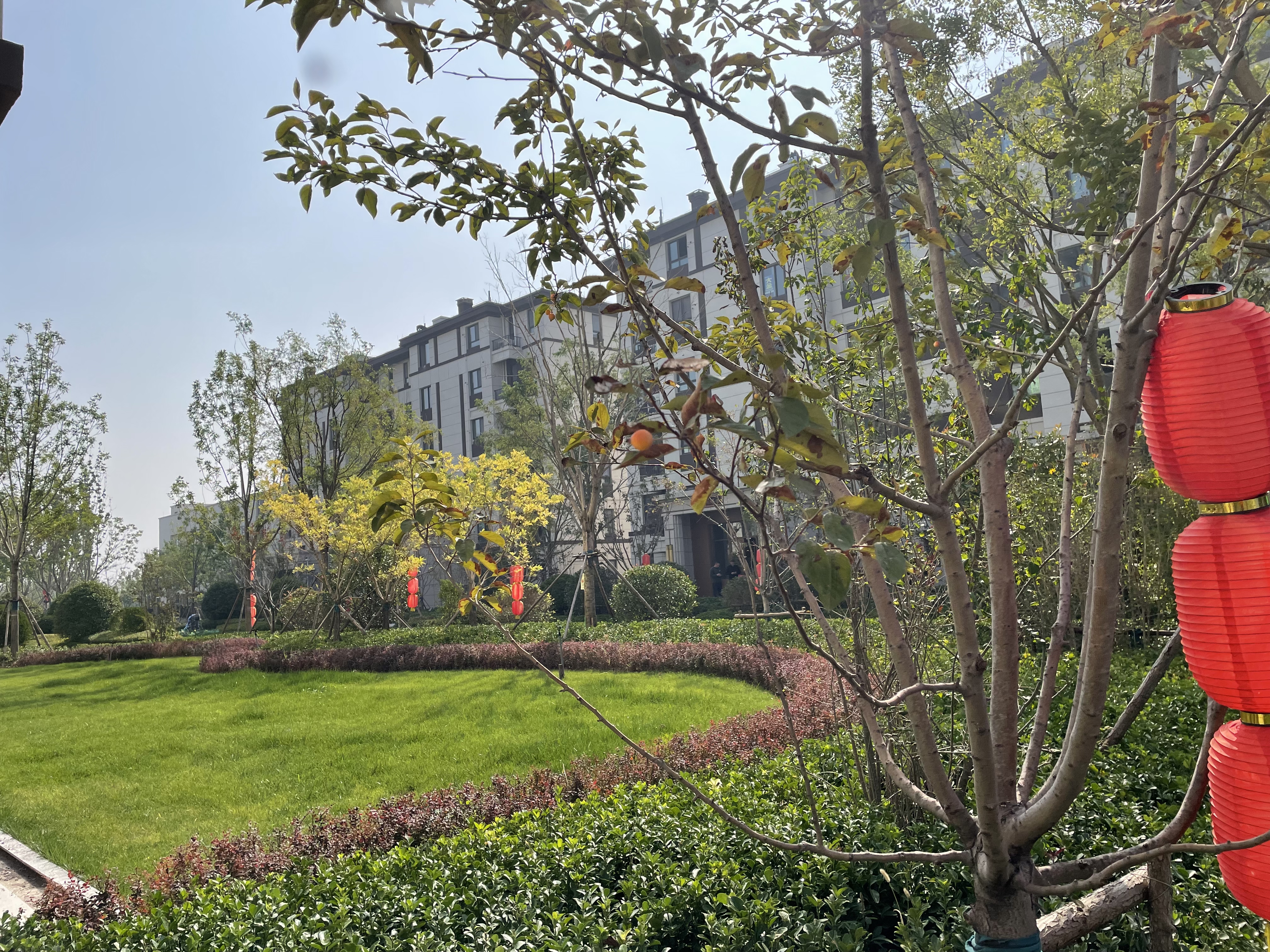 眾成悅島華庭實景圖