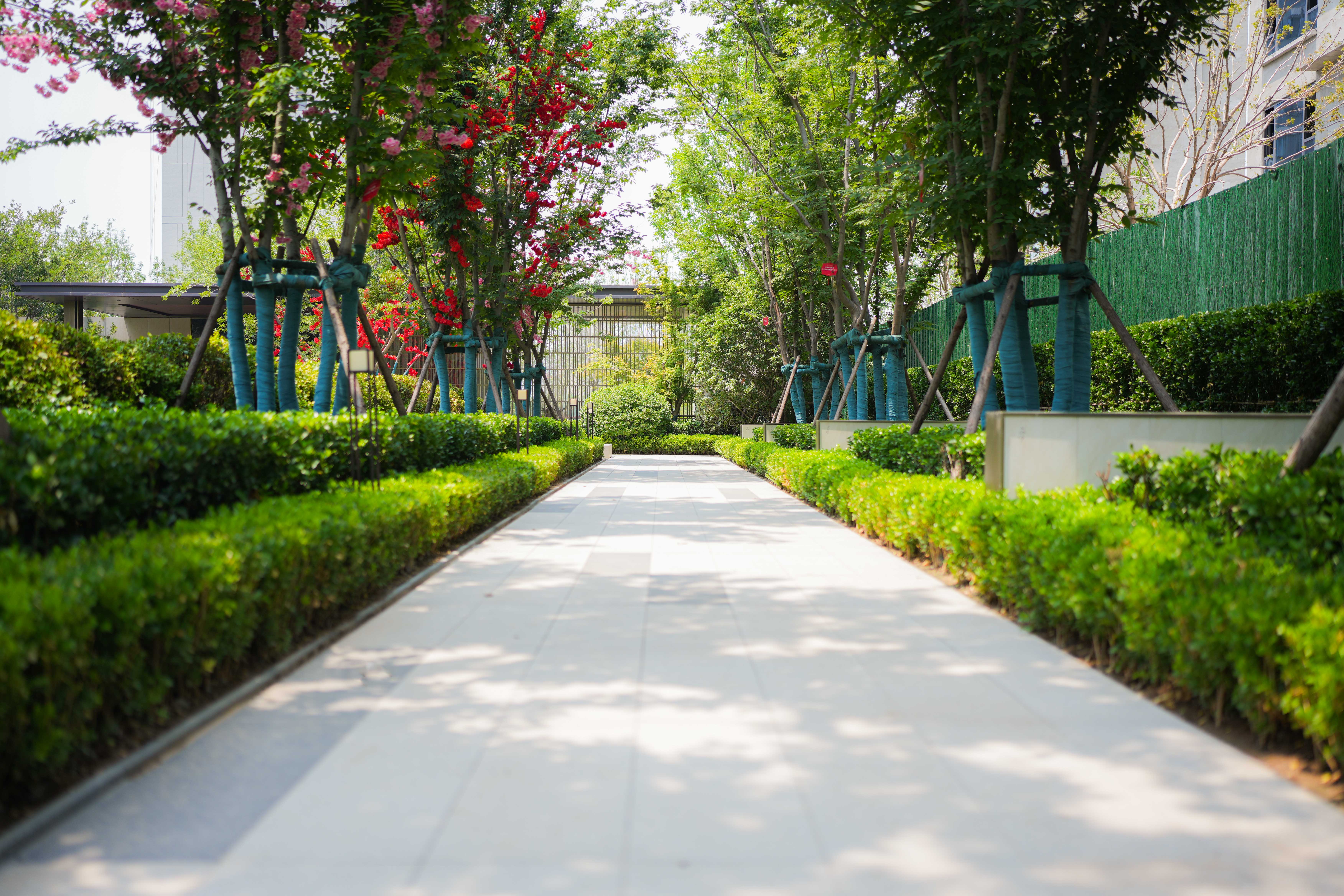 眾成嘉悅華庭實景圖