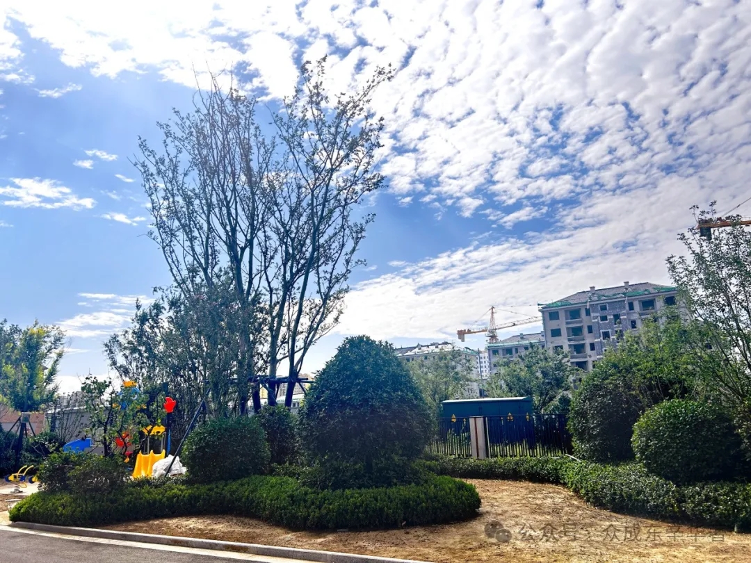 眾成東辛華著工程進度