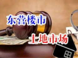 東公國土資告字[2025]21號 使用權招拍掛出讓成交公示