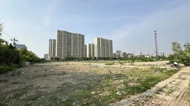 森林·觀江樾實景圖