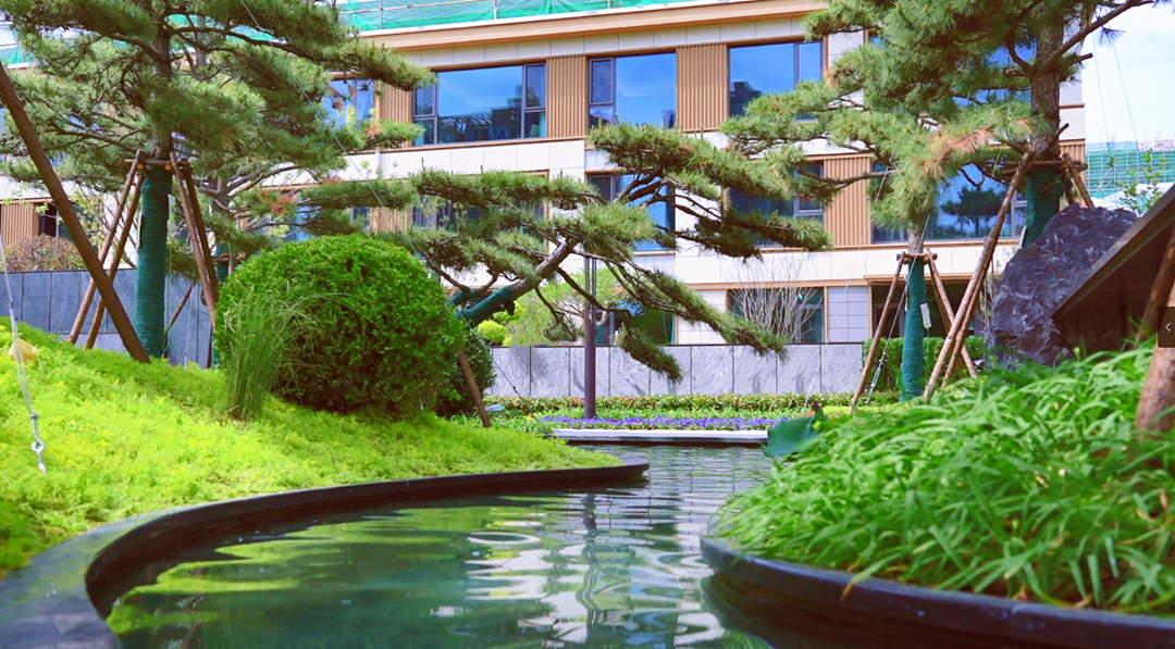 金基·璽樾府實景圖