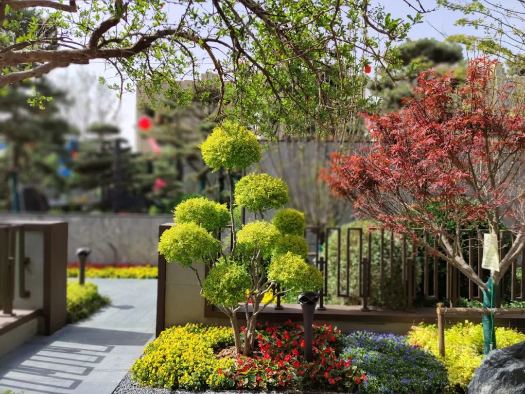 金基·璽樾府樣板間