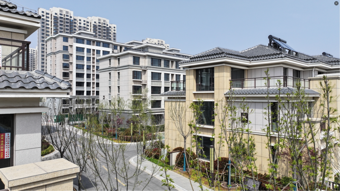 魯強·觀天下實景圖