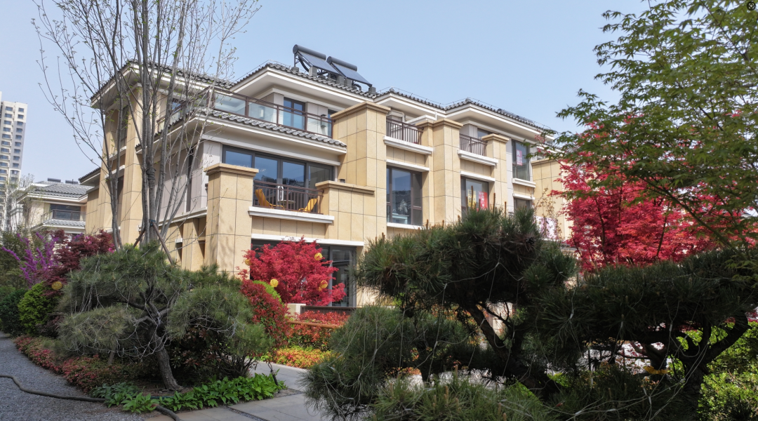 魯強·觀天下實景圖