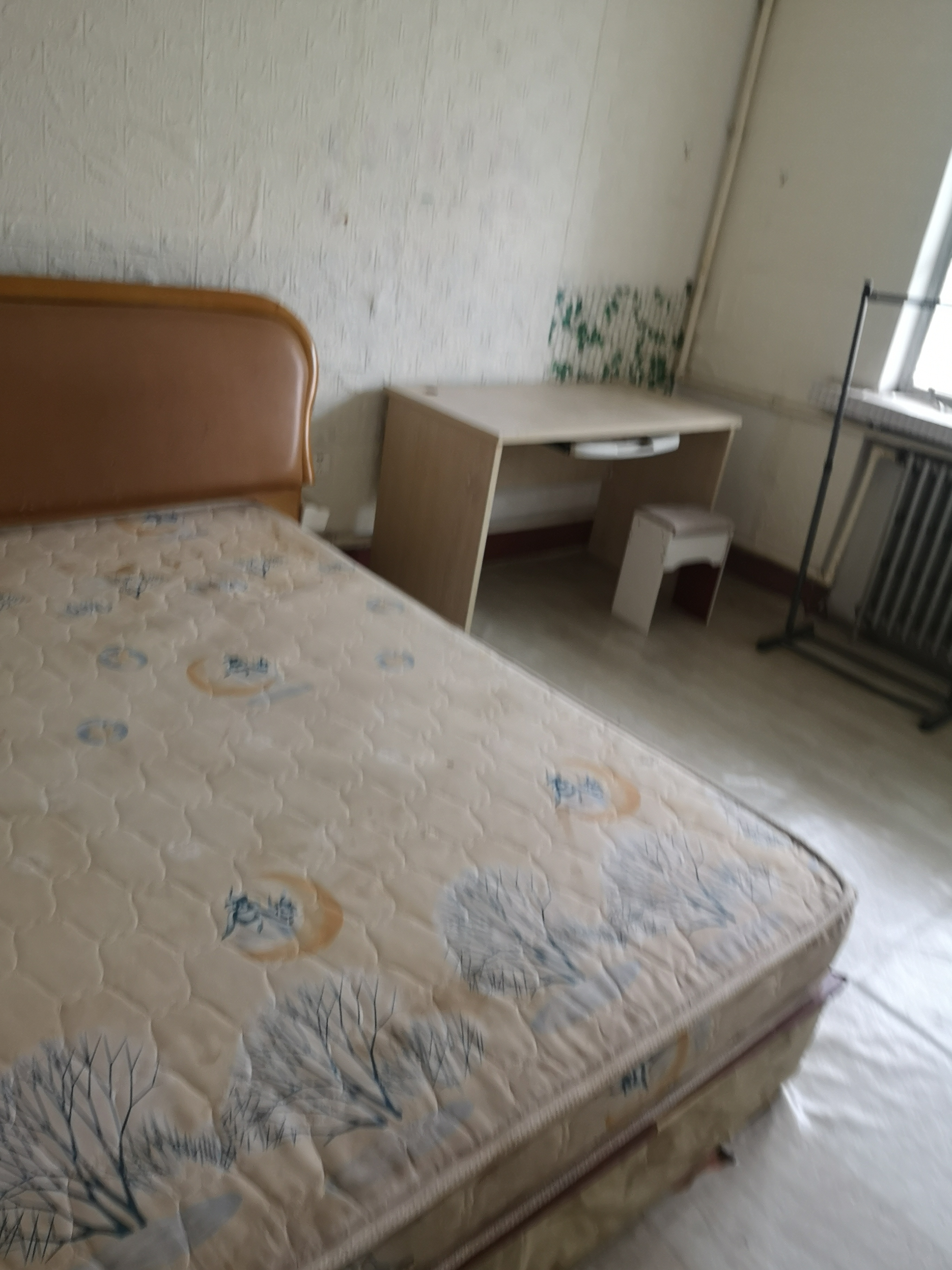 出租怡園小區2室1廳1衛65平米800元/月住宅